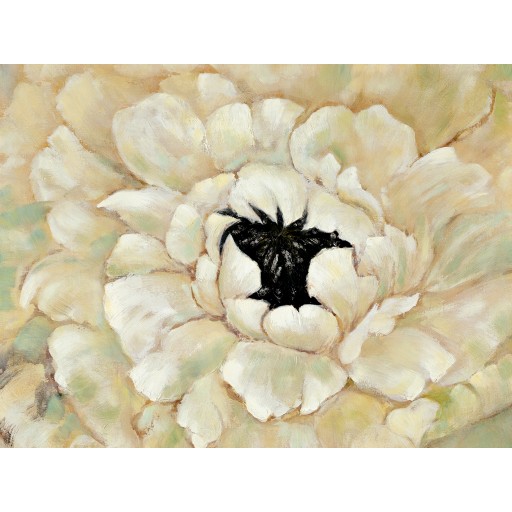 48 Inch x 36 Inch White Flower Canvas
