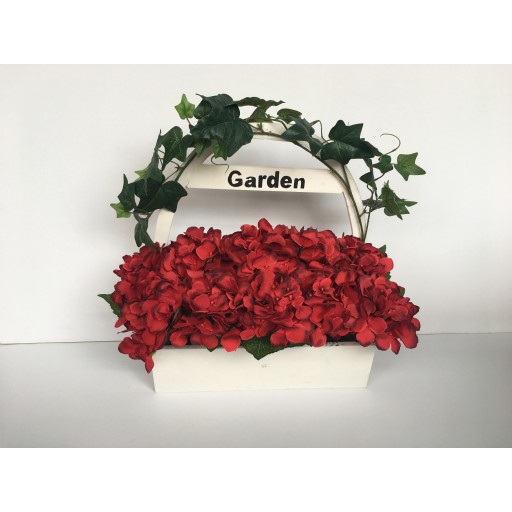 Hydrange wood potted