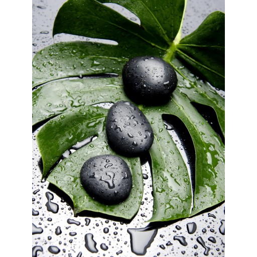 15.74 Inch H green/black canvas wall art