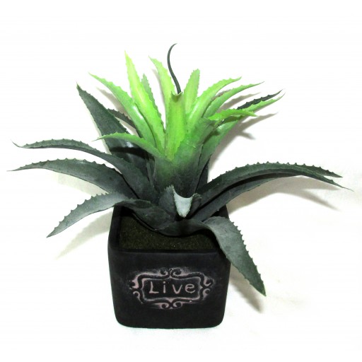 11 Inch Artifical Succulent Garden