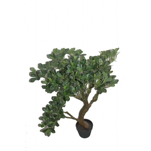 36 Inch White Fortune Tree