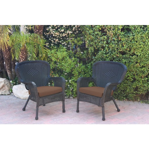 Set of 2 Windsor Black Resin Wicker Chair with Brown Cushions
