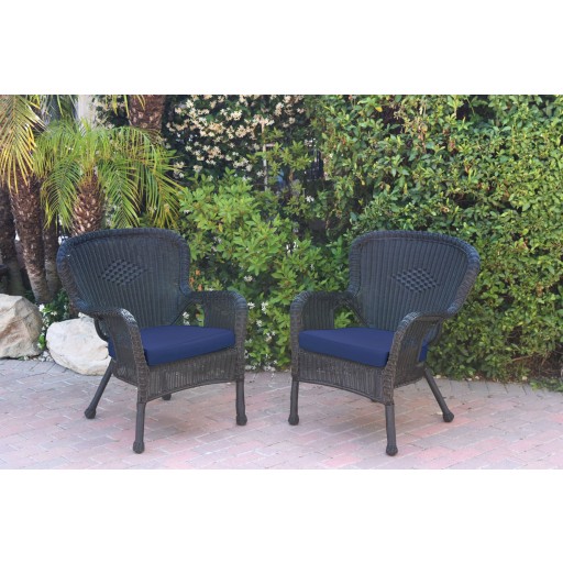 Set of 2 Windsor Black Resin Wicker Chair with Cushion