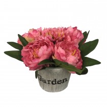 4.72 x 4.33 Inch PEONY IN Paper pulp pot