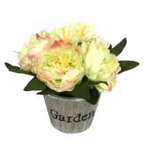 4.72 x 4.33 Inch PEONY IN Paper pulp pot