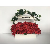 Hydrange wood potted