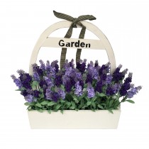 lavender wood potted