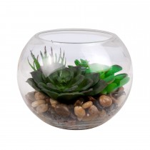 Decorative Plant in Glass Bowl