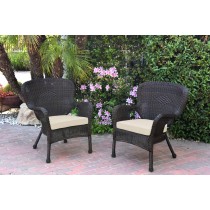 Set of 2 Windsor Espresso Resin Wicker Chair with Ivory Cushion