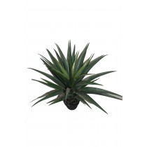 31 Inch Gladiolus Potted Tree