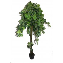 63 Inch Heart shape Tree