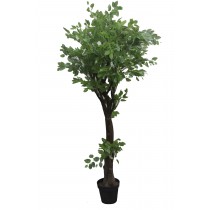 63 Inch Chinese Next Tree