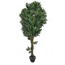 65 Inch Fortune Tree