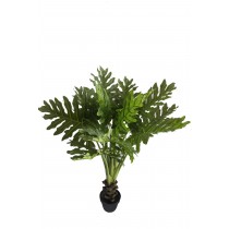 47 Inch Tropical Shell Leaf Tree