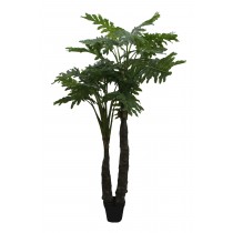 86 Inch Philodendra Tree