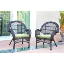 Santa Maria Espresso Wicker Chair with Sage Green Cushion - Set of 2