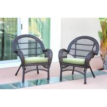 Santa Maria Espresso Wicker Chair with Sage Green Cushion - Set of 4