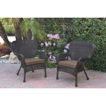 Set of 2 Windsor Espresso Resin Wicker Chair with Brown Cushions