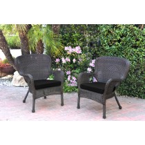 Set of 2 Windsor Espresso Resin Wicker Chair with Black Cushions