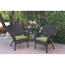 Set of 2 Windsor Espresso Resin Wicker Chair with Sage Green Cushions