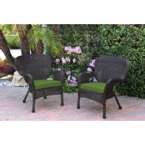 Set of 2 Windsor Espresso Resin Wicker Chair with Hunter Green Cushion