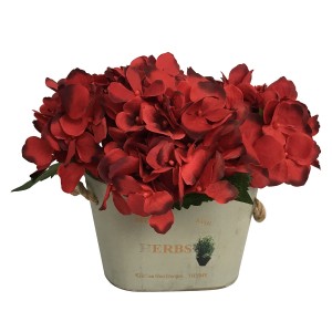 9 Inch Hydrangea with wooden Pot