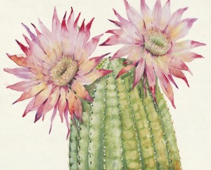19.7 Inch H Pink,Green Printing  Canvas