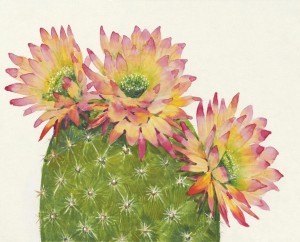 19.7 Inch H Pink,Green Printing Canvas
