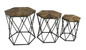 Set of 3 Hexagon Wood and Metal End Table