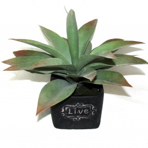 11 Inch Artifical Succulent Garden