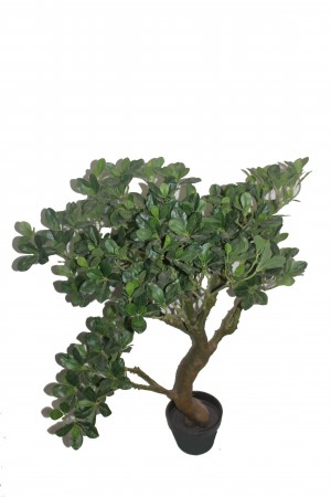36 Inch White Fortune Tree