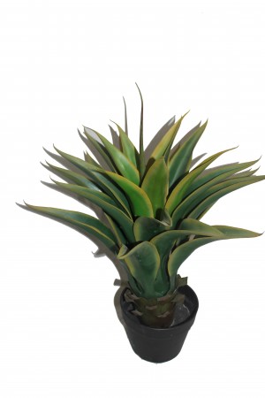 24 Inch Arrow Shape Tree