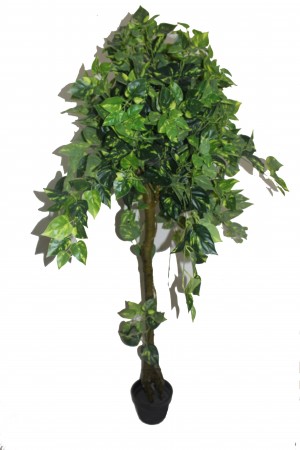 63 Inch Heart shape Tree