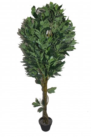 65 Inch Fortune Tree