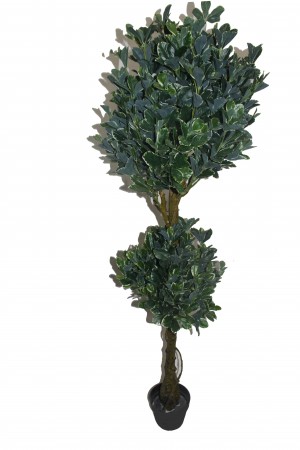 59 Inch White Edge Fortune Tree
