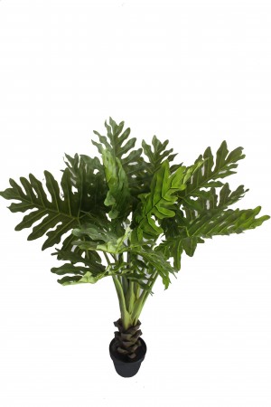47 Inch Tropical Shell Leaf Tree