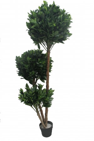 71 Inch Globe Fourtune Tree