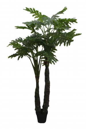 86 Inch Philodendra Tree