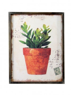 Potted Green
