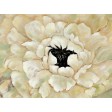 48 Inch x 36 Inch White Flower Canvas