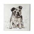 20 Inch Dog with Glasses Canvas Art