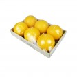 3 Inch Yellow Ball Candles (6pc/Box)