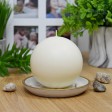 4 Inch Pale Ivory Ball Candles (2pc/Box)