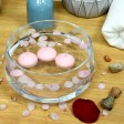 1 3/4 Inch Light Rose Floating Candles (24pc/Box)