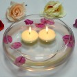 2 1/4 Inch Ivory Floating Candles (288pcs/Case) Bulk