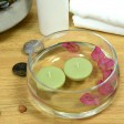 2 1/4 Inch Sage Green Floating Candles (96pcs/Case) Bulk