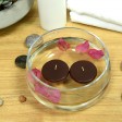 2 1/4 Inch Brown Floating Candles (96pcs/Case) Bulk