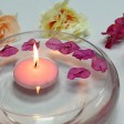 3 Inch Light Rose Floating Candles (12pc/Box)