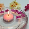 3 Inch Light Rose Floating Candles (144pcs/Case) Bulk