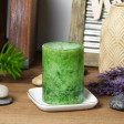 3 x 4 Inch Sld Holiday Fores Scented Pillar Candle(24pcs/Case)